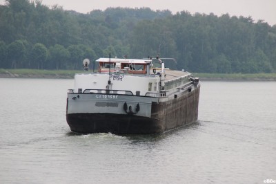 IMG_7263.JPG