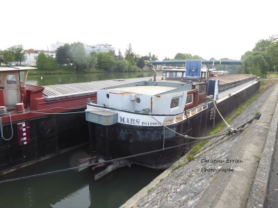 Mars Panurge Bonneuil1 - Copie.JPG