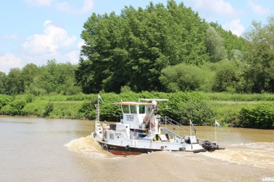 IMG_7417.JPG (177.58 Kio) Vu 2284 fois IMG_7417.JPG