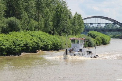 IMG_7411.JPG (179.49 Kio) Vu 2289 fois IMG_7411.JPG