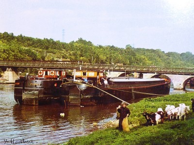 P1040164.JPG (279.39 Kio) Vu 3648 fois P1040164.JPG