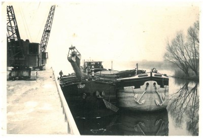 Loup+Dominica@vv.jpg (54.84 Kio) Vu 1597 fois Loup+Dominica@vv.jpg