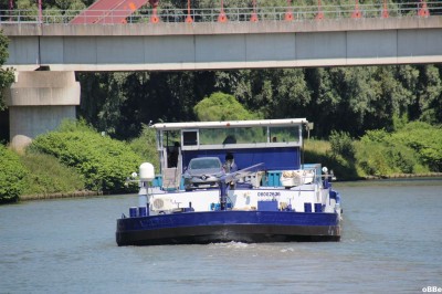 IMG_7776.JPG (151.37 Kio) Vu 2026 fois IMG_7776.JPG