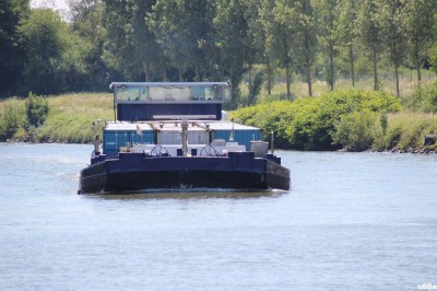 IMG_7768.JPG (148.46 Kio) Vu 2026 fois IMG_7768.JPG