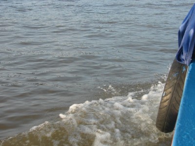 DSC02854.JPGa.jpg (111.85 Kio) Vu 3224 fois DSC02854.JPGa.jpg