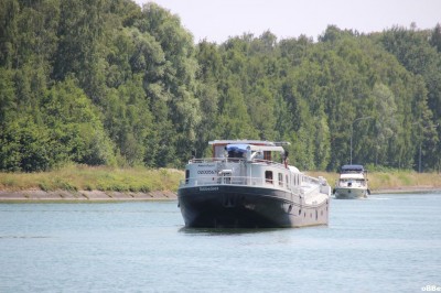 IMG_7858.JPG (155.25 Kio) Vu 1694 fois IMG_7858.JPG