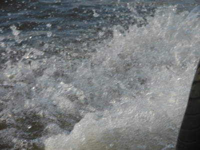 DSC02873.JPGa.jpg (108.12 Kio) Vu 3224 fois DSC02873.JPGa.jpg