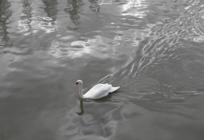 PC116916.JPG