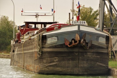 CUPIDON Berry-au-Bac - 22 juillet 2018.jpg