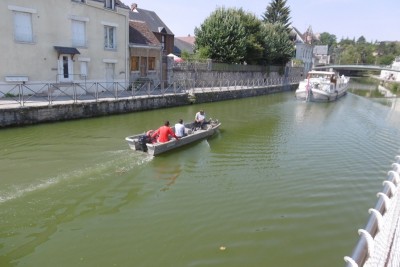 P1000913 (800x533).jpg (267.34 Kio) Vu 9007 fois P1000913 (800x533).jpg