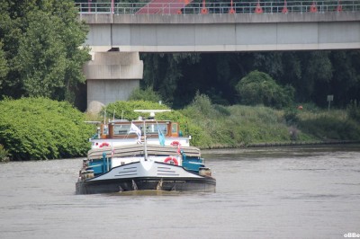 IMG_7954.JPG