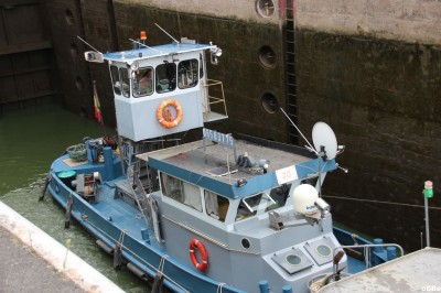 IMG_8165.JPG (139.93 Kio) Vu 2936 fois IMG_8165.JPG