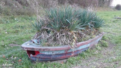 GO-RY - bachot à Berry-au-Bac - 2010 (1).jpg (226.05 Kio) Vu 1920 fois GO-RY - bachot à Berry-au-Bac - 2010 (1).jpg