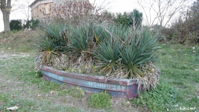 GO-RY - bachot à Berry-au-Bac - 2010 (2).jpg (241.29 Kio) Vu 1920 fois GO-RY - bachot à Berry-au-Bac - 2010 (2).jpg