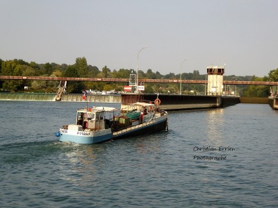 Cher Bois le Roi4 - Copie.JPG (213.04 Kio) Vu 5168 fois Cher Bois le Roi4 - Copie.JPG