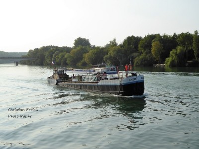 Cher Cosmao Bois le roi2 - Copie.JPG (191.35 Kio) Vu 5168 fois Cher Cosmao Bois le roi2 - Copie.JPG