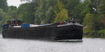 Salomé f.jpg (167.62 Kio) Vu 2502 fois Salomé f.jpg