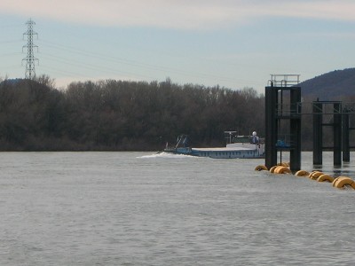 DSCN7186.JPG (128.89 Kio) Vu 1664 fois DSCN7186.JPG