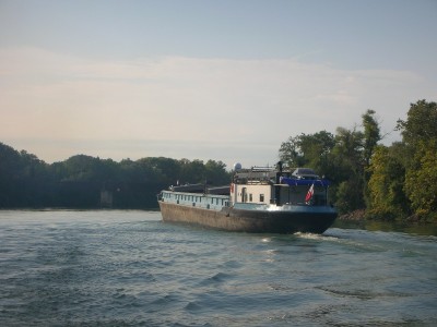 DSCN8054.JPG (137.98 Kio) Vu 1663 fois DSCN8054.JPG