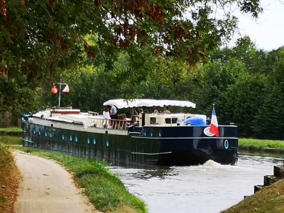 Magnolia b.jpg