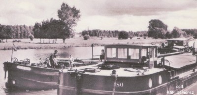 Bray-sur-Seine - GOELETTE.jpg