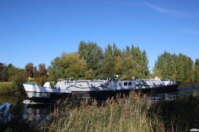 IMG_8453.JPG