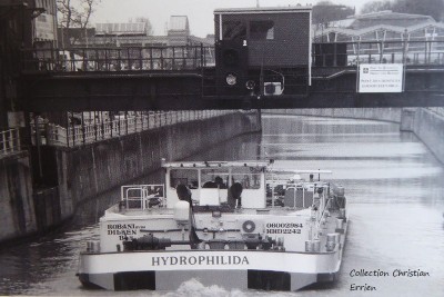 P1070244.JPG (225.22 Kio) Vu 1237 fois P1070244.JPG