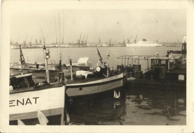 grenat.JPG (147.98 Kio) Vu 6058 fois grenat.JPG