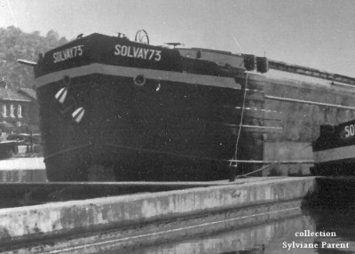 SLV 73  Large.jpg