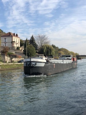 baribal.jpg (52.53 Kio) Vu 4139 fois baribal.jpg