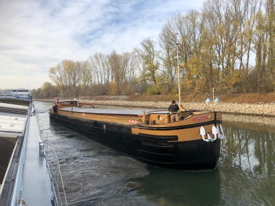 SCAMPOLO MARK HARDI 11.2018v.jpg