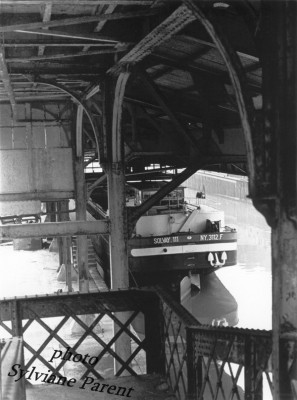 SLV 111.jpg (114.52 Kio) Vu 8175 fois SLV 111.jpg