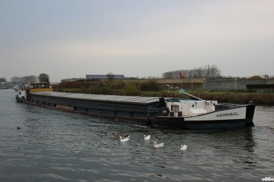 IMG_8805.JPG (92.69 Kio) Vu 1700 fois IMG_8805.JPG