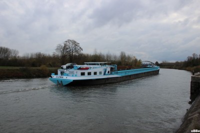 IMG_8781.JPG