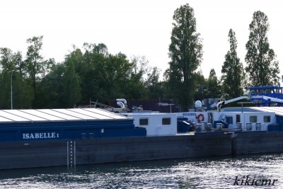 ISABELLE I Ottmarsheim juillet 2018 (2).JPG