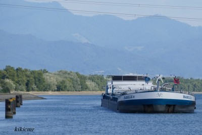ISABELLE II Ottmarsheim juillet 2018 (1).JPG