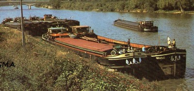 bois le roi-miracle+x-extCP-hodbert-2339.jpg (592.69 Kio) Vu 2118 fois bois le roi-miracle+x-extCP-hodbert-2339.jpg