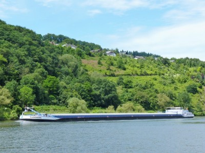 1.jpg (110.09 Kio) Vu 2548 fois 1.jpg