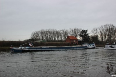 IMG_8980.JPG
