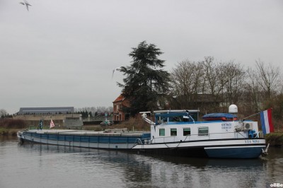 IMG_8974.JPG