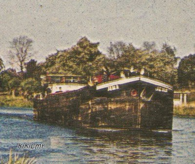 JENA ou JEMA sur la Houlle à Houlle.jpg (66.75 Kio) Vu 3281 fois JENA ou JEMA sur la Houlle à Houlle.jpg