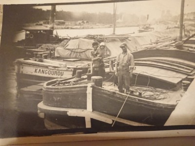 kangourou.jpg (115.08 Kio) Vu 2516 fois kangourou.jpg