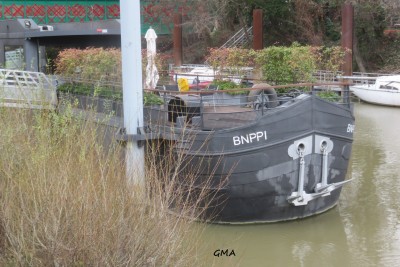 bnppi-av.JPG