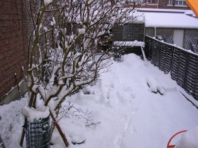 coudekerque sous la neige 004.jpg (143.88 Kio) Vu 2307 fois coudekerque sous la neige 004.jpg