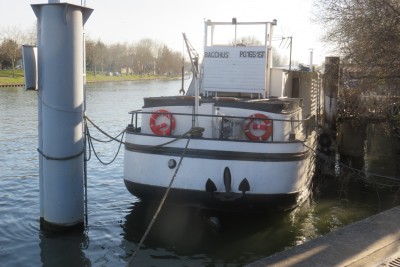 bacchus-pontoise-ar.JPG (716.92 Kio) Vu 1224 fois bacchus-pontoise-ar.JPG