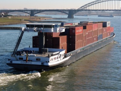 Goudvis-3-27-02-2019-Nijmegen.jpg