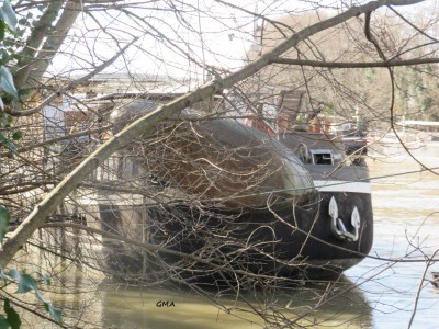 fregate-ar.JPG (1.06 Mio) Vu 2321 fois fregate-ar.JPG