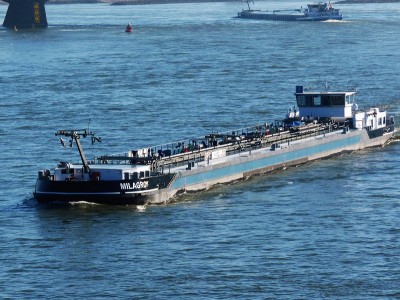 Milagro-1-27-02-2019-Nijmegen.jpg (290.66 Kio) Vu 3620 fois Milagro-1-27-02-2019-Nijmegen.jpg