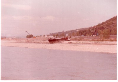 gazelle.jpg (125.33 Kio) Vu 8541 fois gazelle.jpg