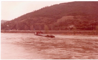 gazelle0.jpg (165.92 Kio) Vu 8541 fois gazelle0.jpg